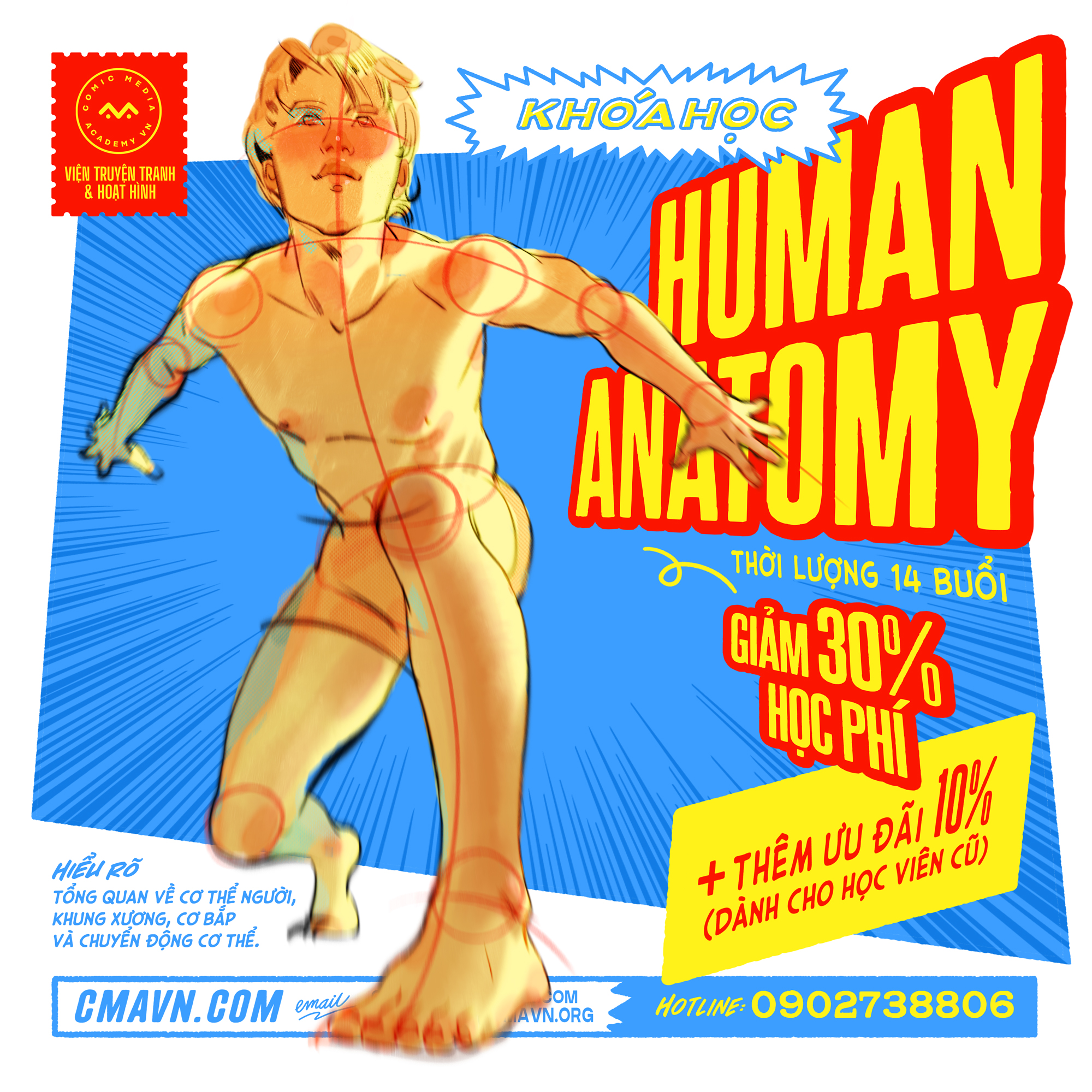 human anatomy