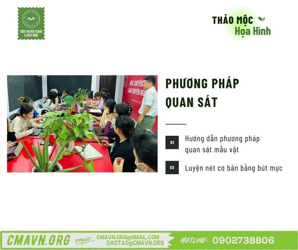 thảo mộc họa hình