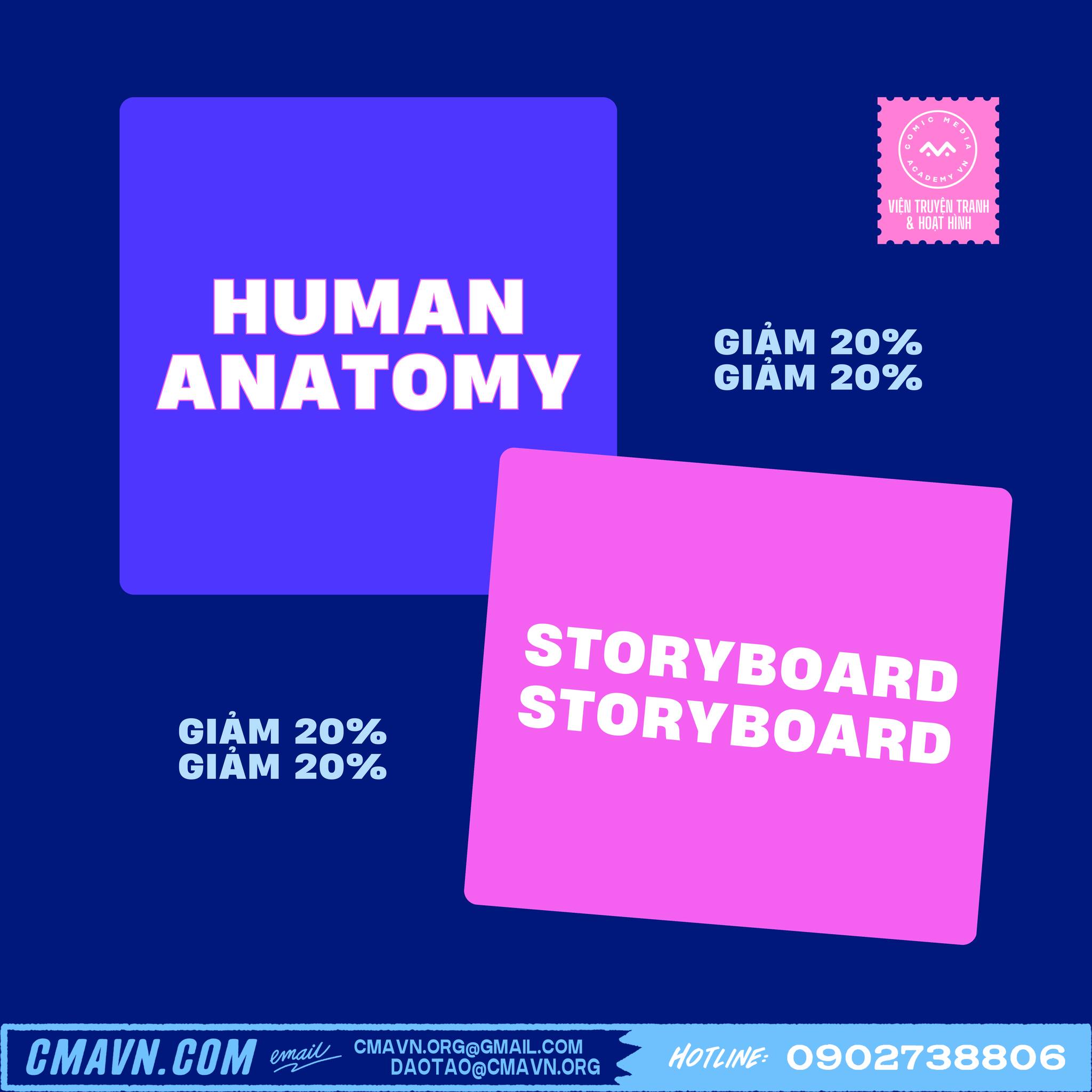 human anatomy