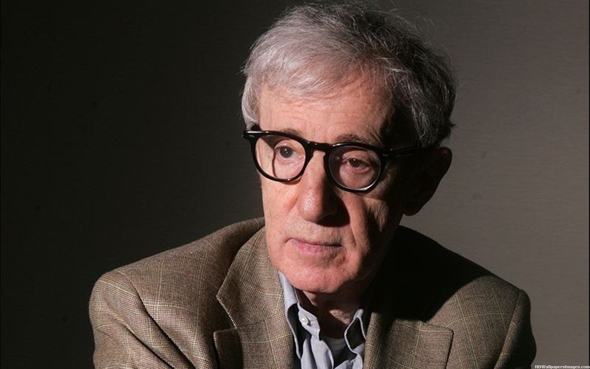 Woody-allen-nha-bien-kich-dai-tai