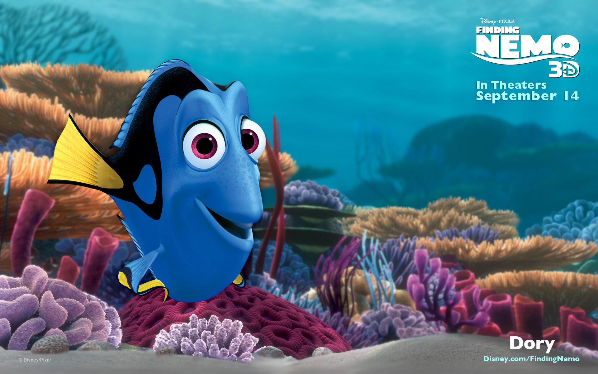 dory-fish-nhan-vat-chinh-trong-phan-tiep-theo-cua-finding-nemo