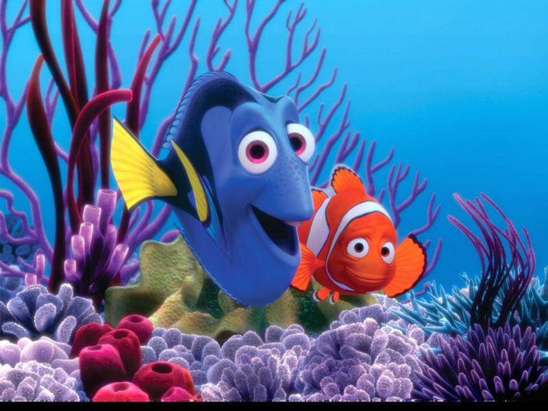phim hoạt hình Pixar tình yêu Finding Nemo