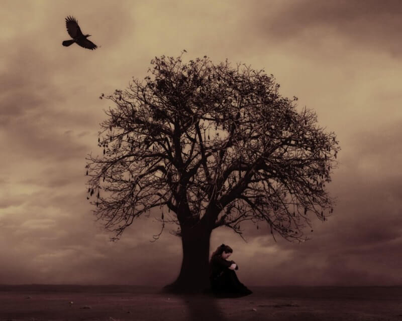 Bi thương đan xen vui nhộn đỉnh cao kịch bản hài