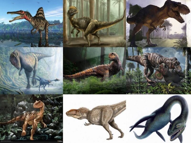 Những kịch bản xuyên không về quá khứ luôn được đón nhận