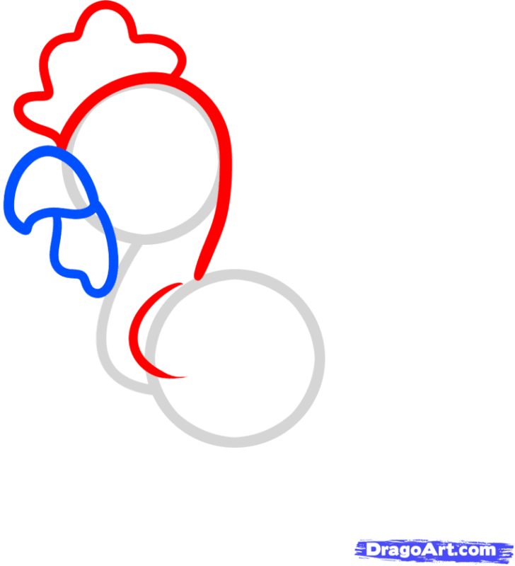 Choáng với cách vẽ chú gà trông cực đơn giản 3