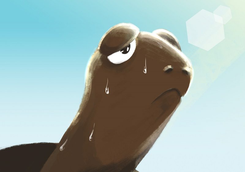 học digital painting minh họa rùa và thỏ