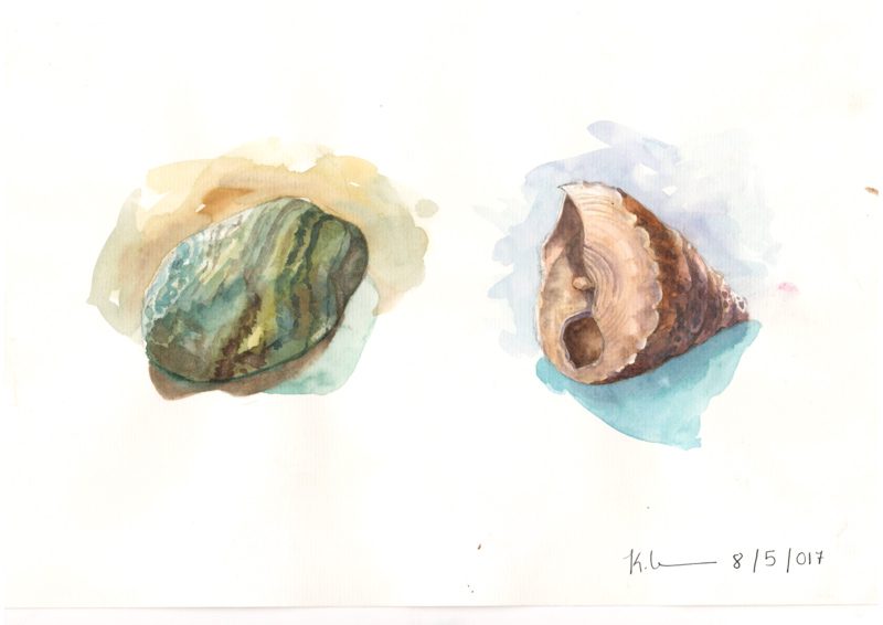 Thực tế Nam Du Watercolor Khương Thảo 17