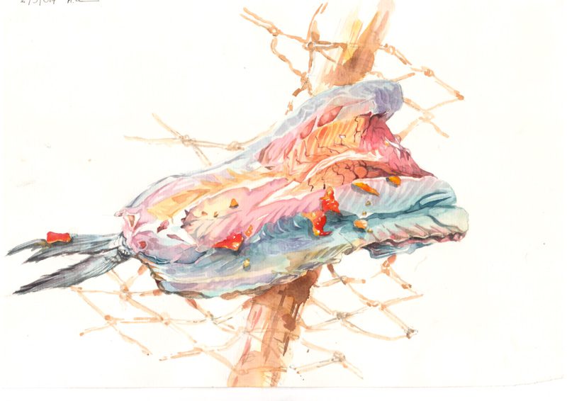 Thực tế Nam Du Watercolor Khương Thảo 19