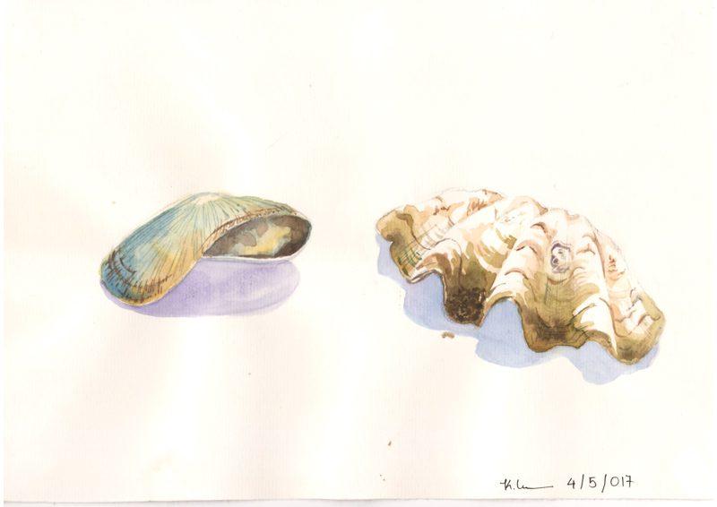 Thực tế Nam Du Watercolor Khương Thảo 3