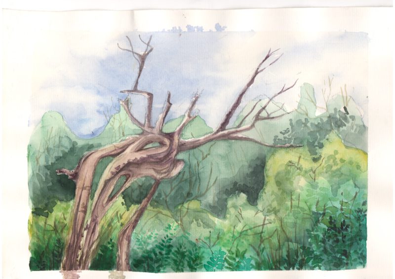 Thực tế Nam Du Watercolor Khương Thảo 4