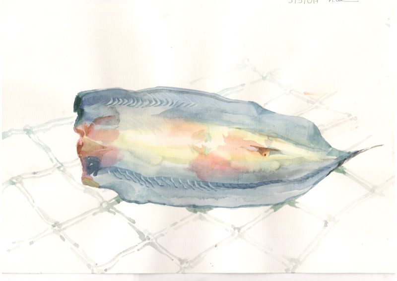 Thực tế Nam Du Watercolor Khương Thảo 6