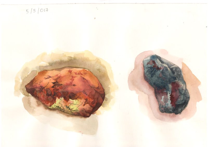 Thực tế Nam Du Watercolor Khương Thảo 8