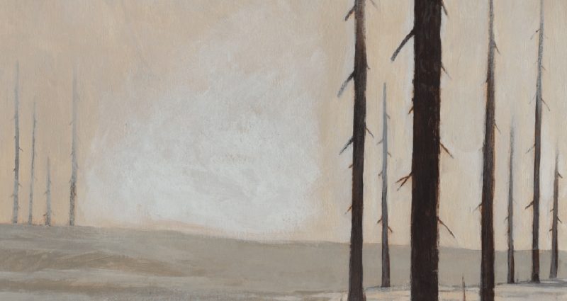 Phim hoạt hình ngắn Feral 8