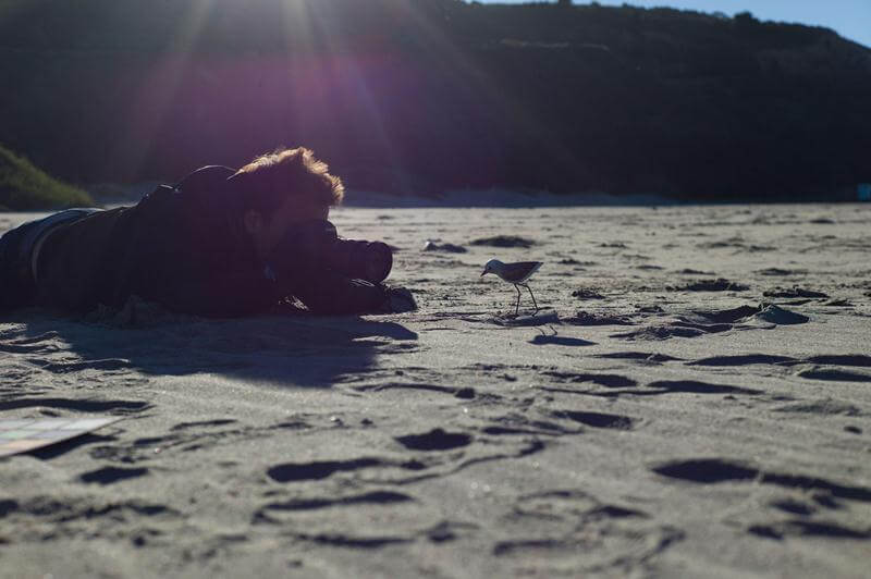 Piper câu chuyện đằng sau bộ phim chú chim nhỏ dũng cảm 16