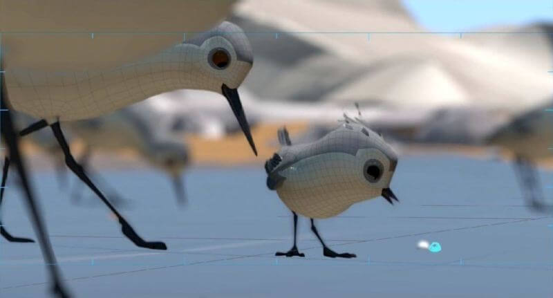 Piper câu chuyện đằng sau bộ phim chú chim nhỏ dũng cảm 2