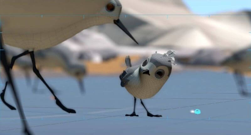 Piper câu chuyện đằng sau bộ phim chú chim nhỏ dũng cảm 3