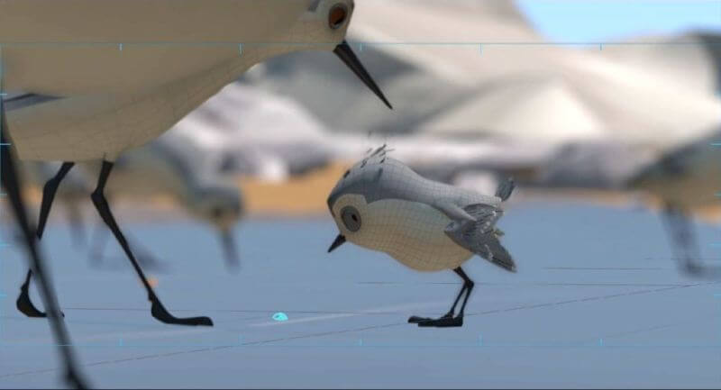 Piper câu chuyện đằng sau bộ phim chú chim nhỏ dũng cảm 4