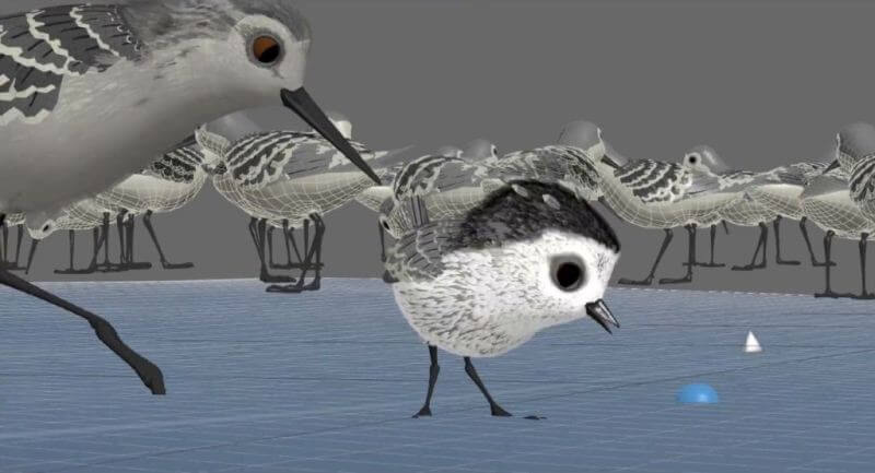 Piper câu chuyện đằng sau bộ phim chú chim nhỏ dũng cảm 5