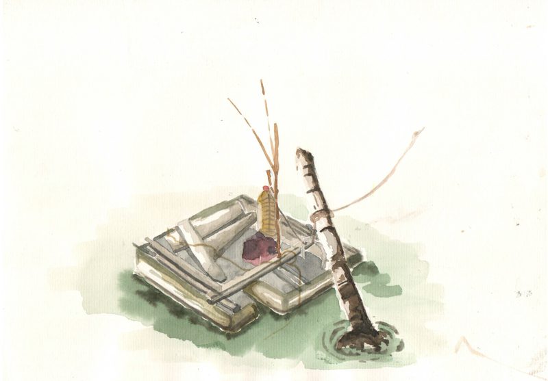 thực tế Nam Du water color 02