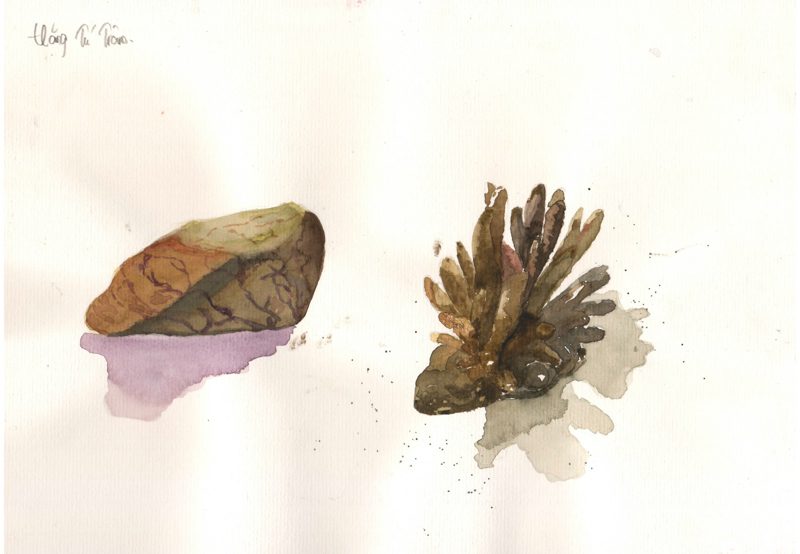 thực tế Nam Du water color 04