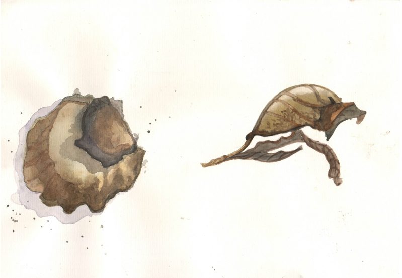 thực tế Nam Du water color 06