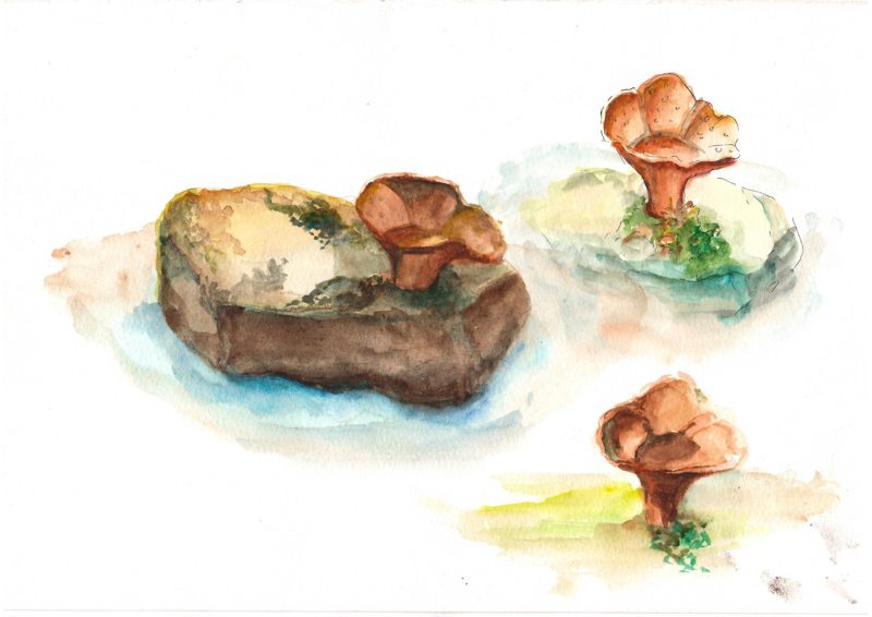 Thực tế Nam Du watercolor Nguyễn Thanh Triều 1