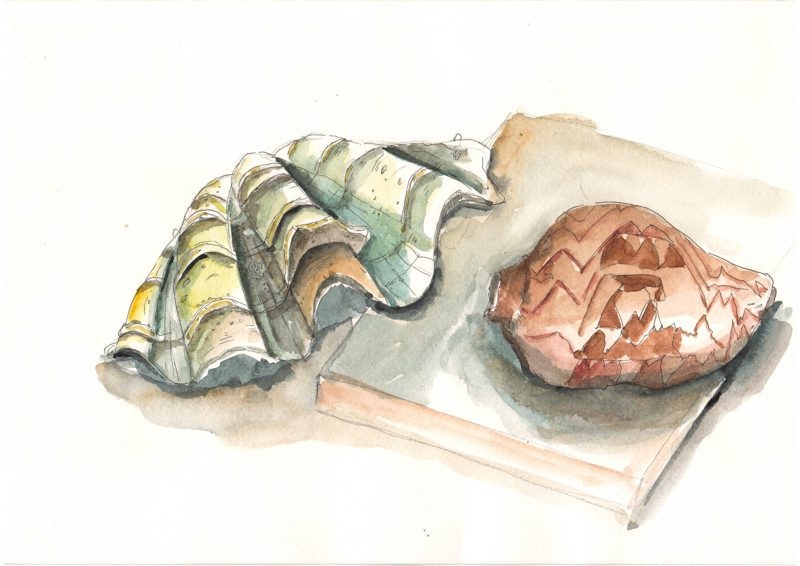 Thực tế Nam Du watercolor Nguyễn Thanh Triều 10