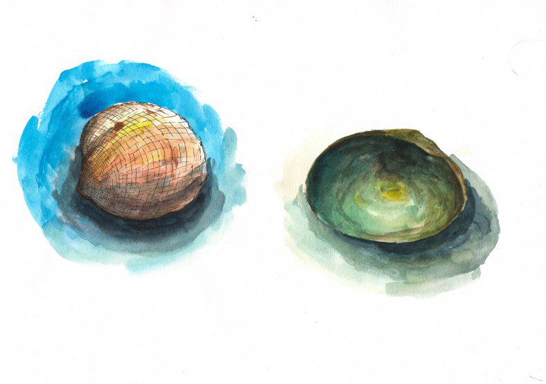 Thực tế Nam Du watercolor Nguyễn Thanh Triều 11