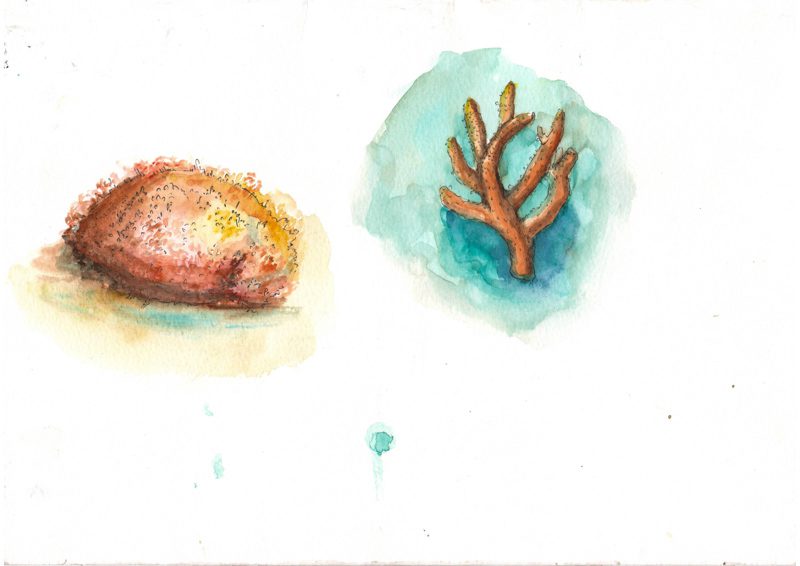 Thực tế Nam Du watercolor Nguyễn Thanh Triều 12