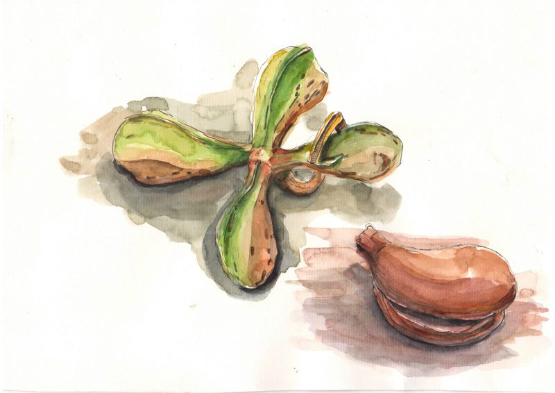 Thực tế Nam Du watercolor Nguyễn Thanh Triều 3