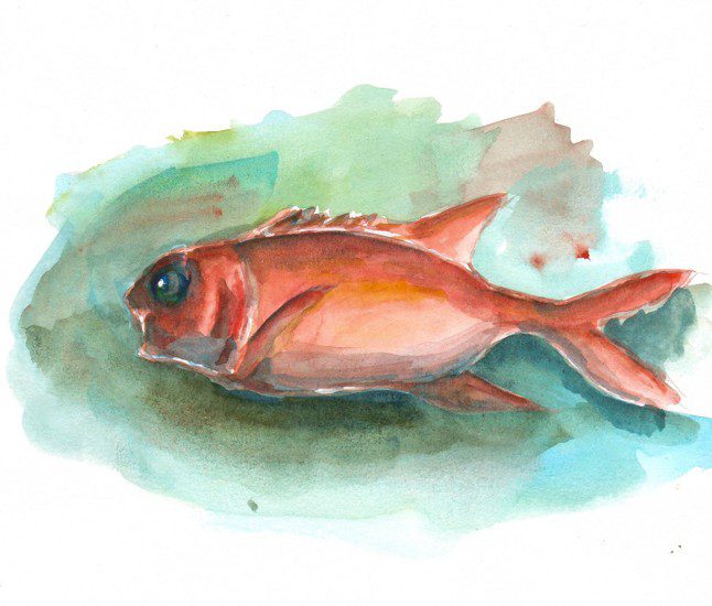 Thực tế Nam Du watercolor Nguyễn Thanh Triều 31