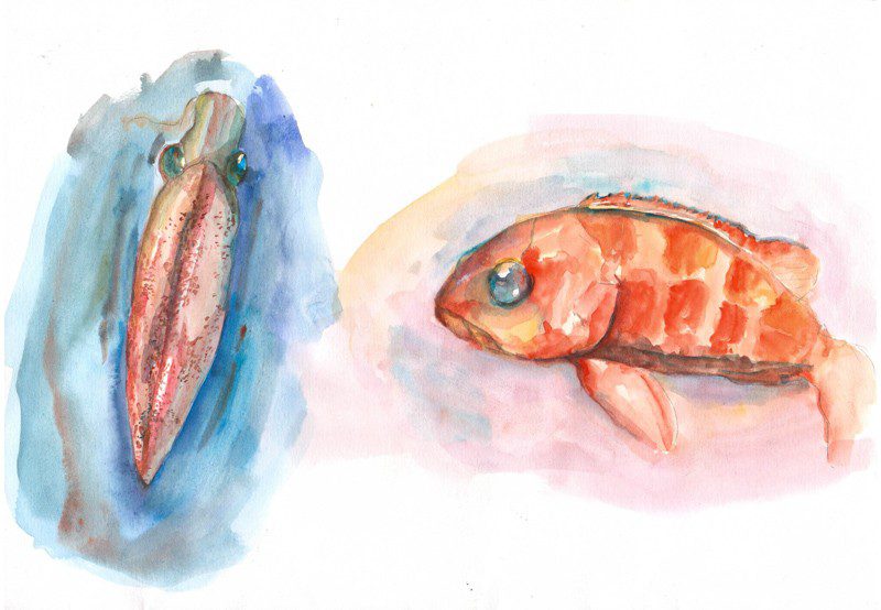 Thực tế Nam Du watercolor Nguyễn Thanh Triều 35