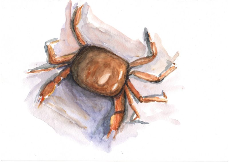 Thực tế Nam Du watercolor Nguyễn Thanh Triều 42