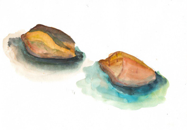 Thực tế Nam Du watercolor Nguyễn Thanh Triều 5