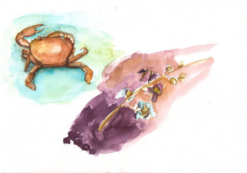 Thực tế Nam Du watercolor Nguyễn Thanh Triều 7