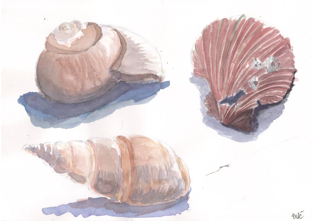 Tranh vẽ Màu nước - Phan Hồng Đức 11