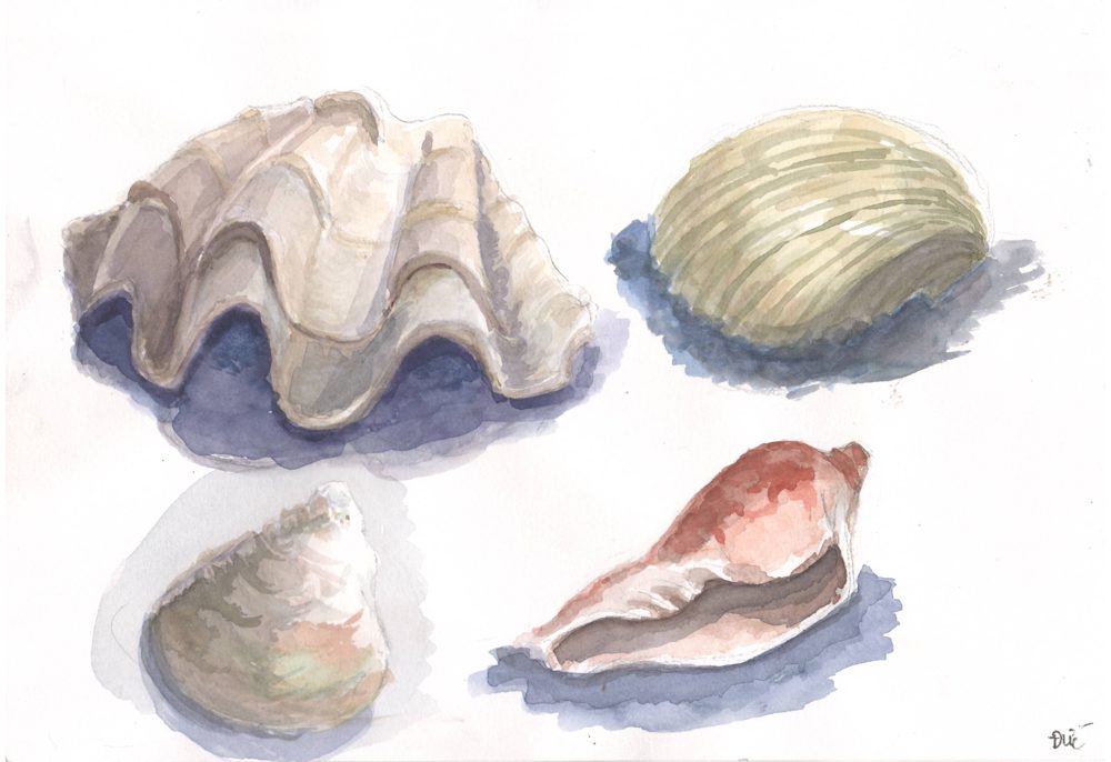 Tranh vẽ Màu nước - Phan Hồng Đức 12