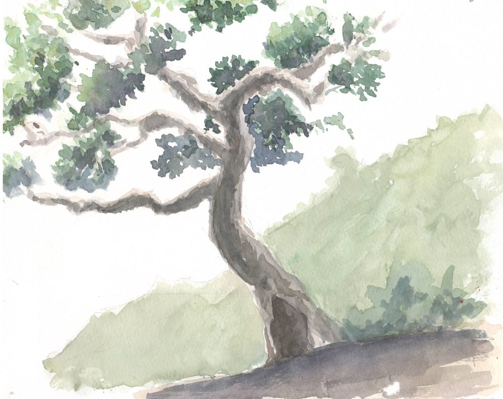 Tranh vẽ Màu nước - Phan Hồng Đức 14