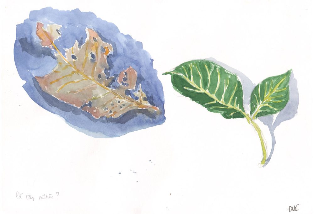 Tranh vẽ Màu nước - Phan Hồng Đức 6