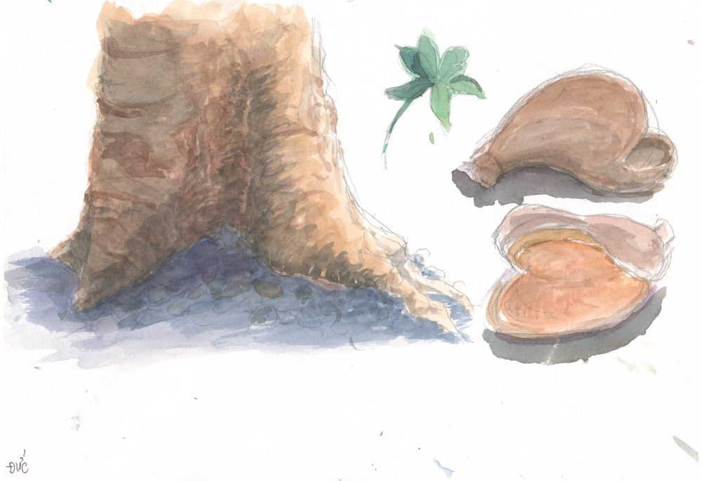 Tranh vẽ Màu nước - Phan Hồng Đức 9