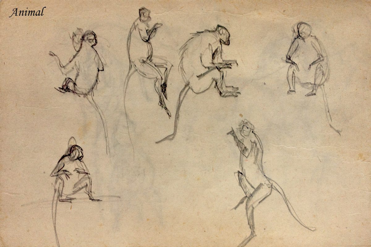 Bài thi Gesture Drawing