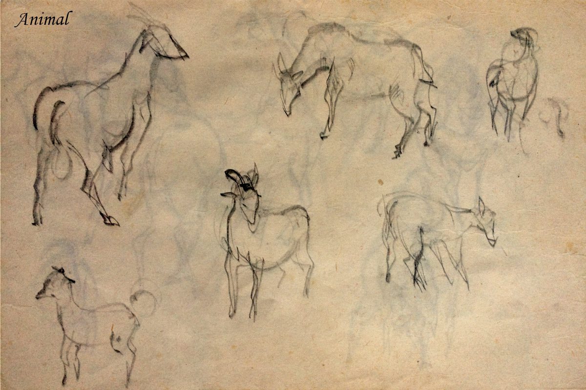 Bài thi Gesture Drawing