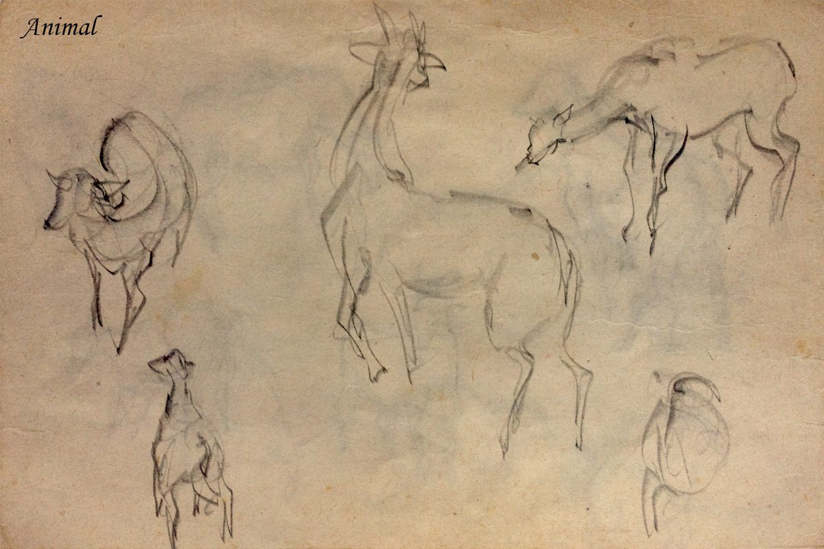 Bài thi Gesture Drawing