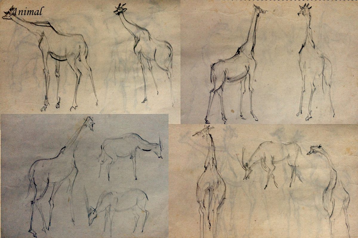 Bài thi Gesture Drawing