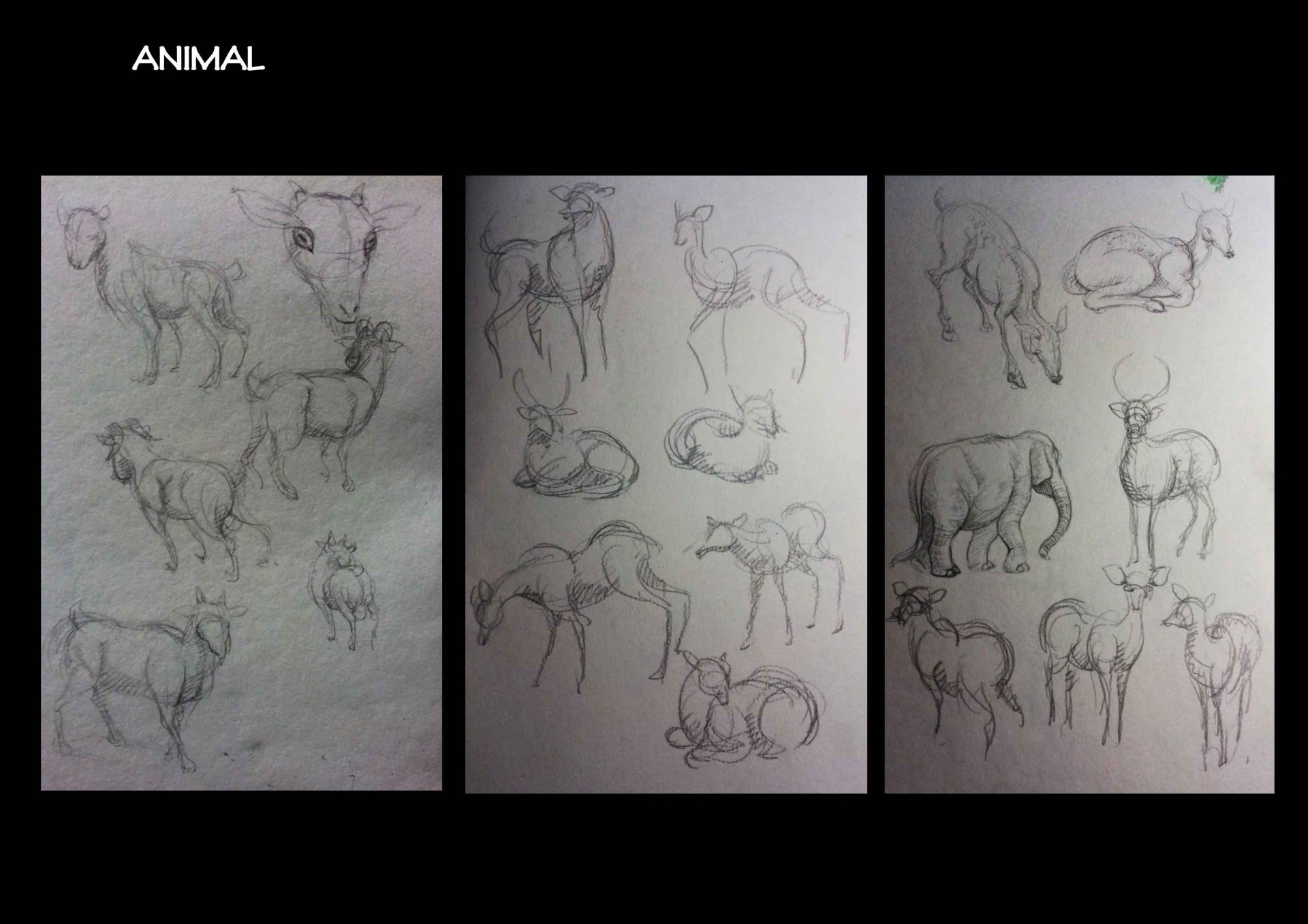 Bài thi Gesture Drawing - Lạc An