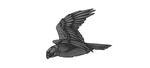 7 bài tập nâng trình Digital Painting 30