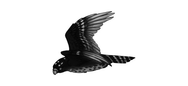 7 bài tập nâng trình Digital Painting 33