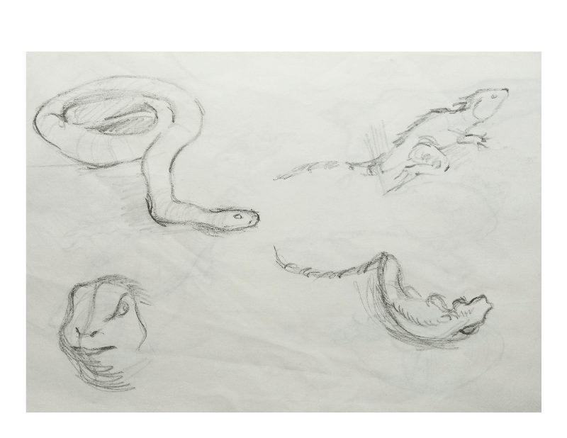 Bài tập Gesture Drawing Nguyễn Khương Thảo 29