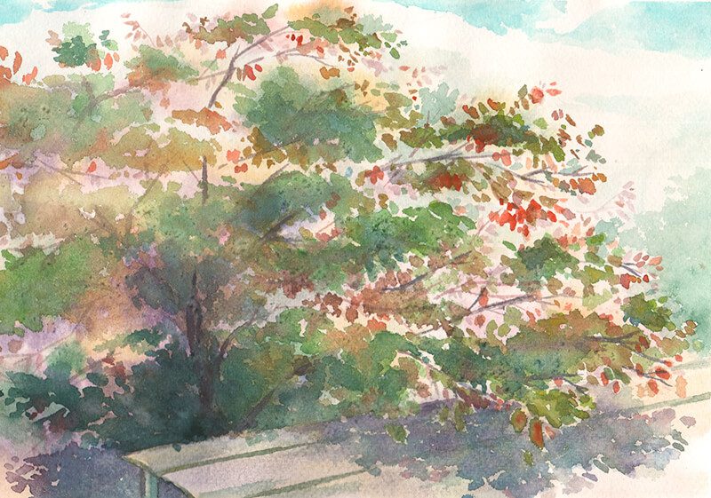 Bai-thuc-te-tai-Da-Lat-Nguyen-Gia-Loc-5