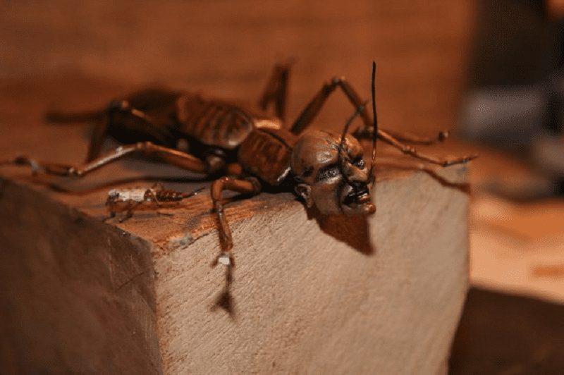 đạo diễn ji Barta